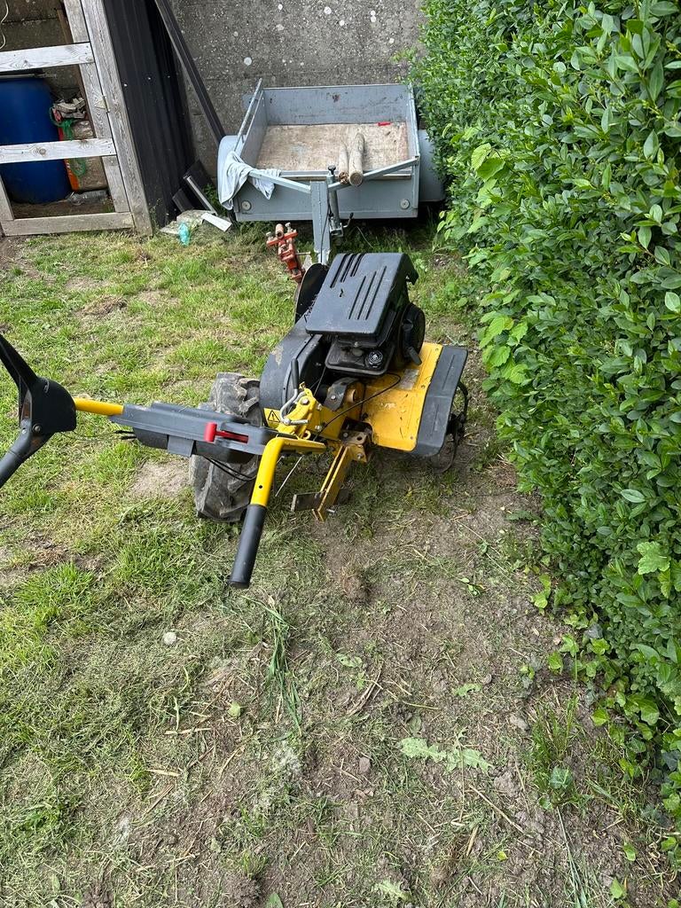 Tuinfrees texas 175€, Tuin en Terras, Ophalen, Gebruikt, Minder dan 90 cm
