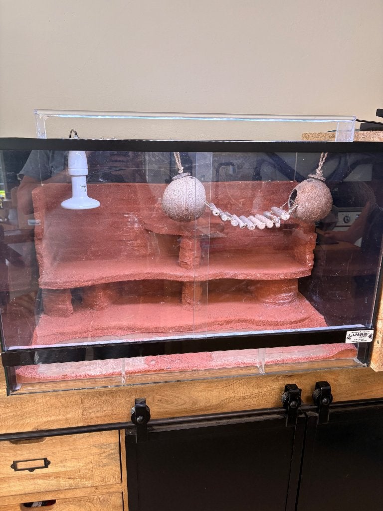 Terrarium, Animaux & Accessoires, Enlèvement, Utilisé, Terrarium ou Paludarium
