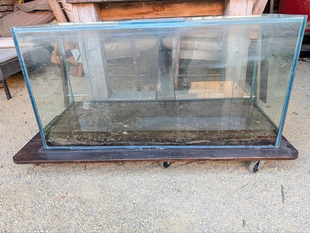 (groot) terrarium, Ophalen