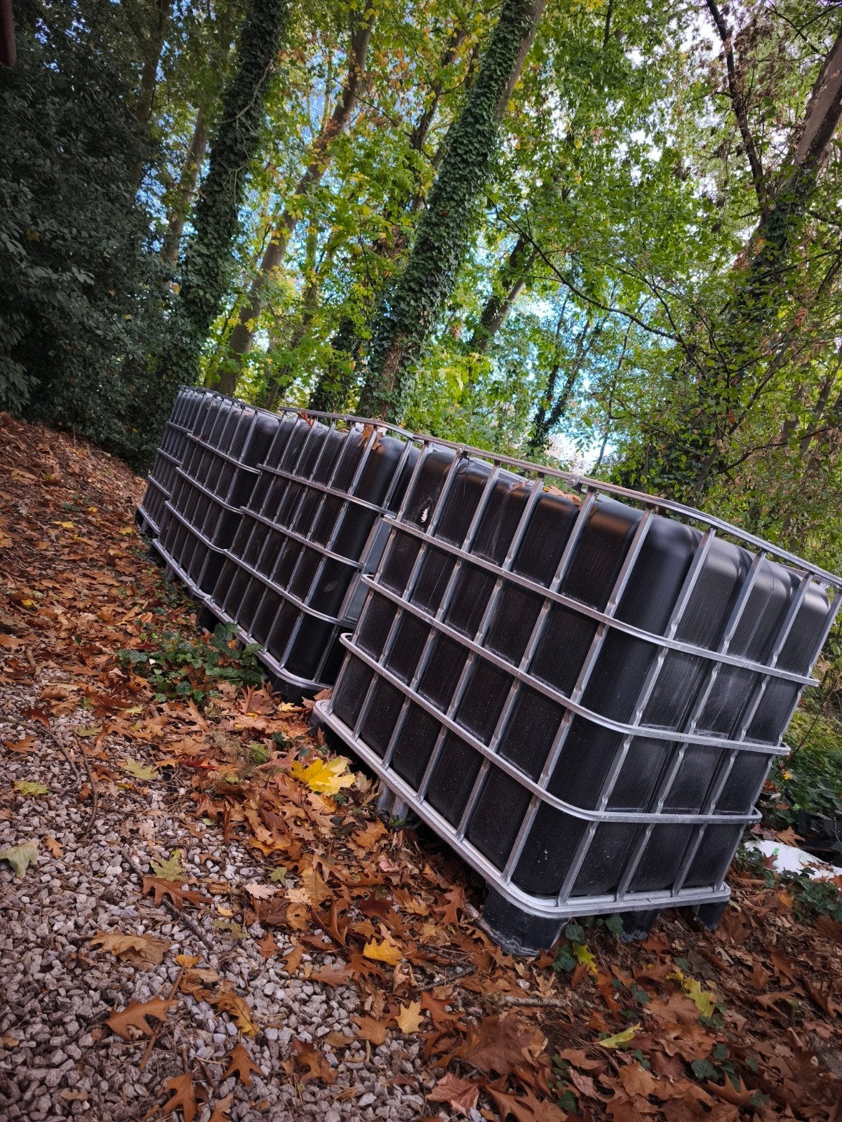 cubis 1000l, Jardin & Terrasse, Enlèvement