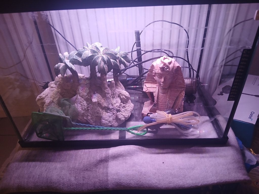 Aquarium, Animaux & Accessoires, Aquarium vide, Enlèvement, Utilisé, Superfish