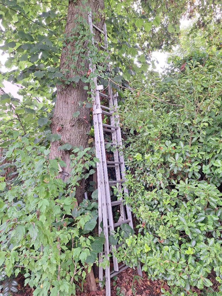 Ladder, Doe-het-zelf en Bouw, Ladders en Trappen, Ophalen, Gebruikt, Ladder, 4 meter of meer