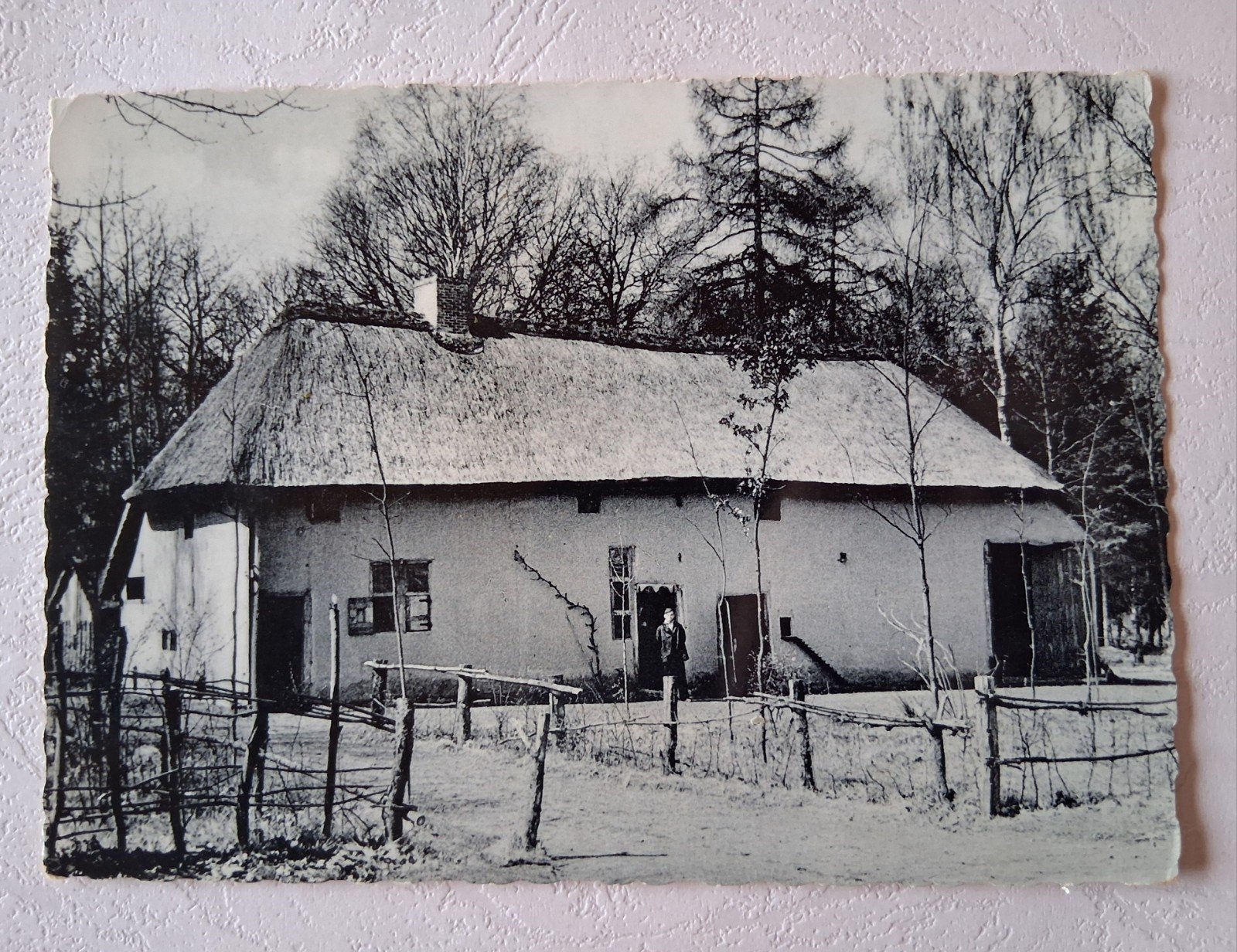 vintage Postkaart Kempisch Boerderijtje in Bokrijk, Ophalen of Verzenden