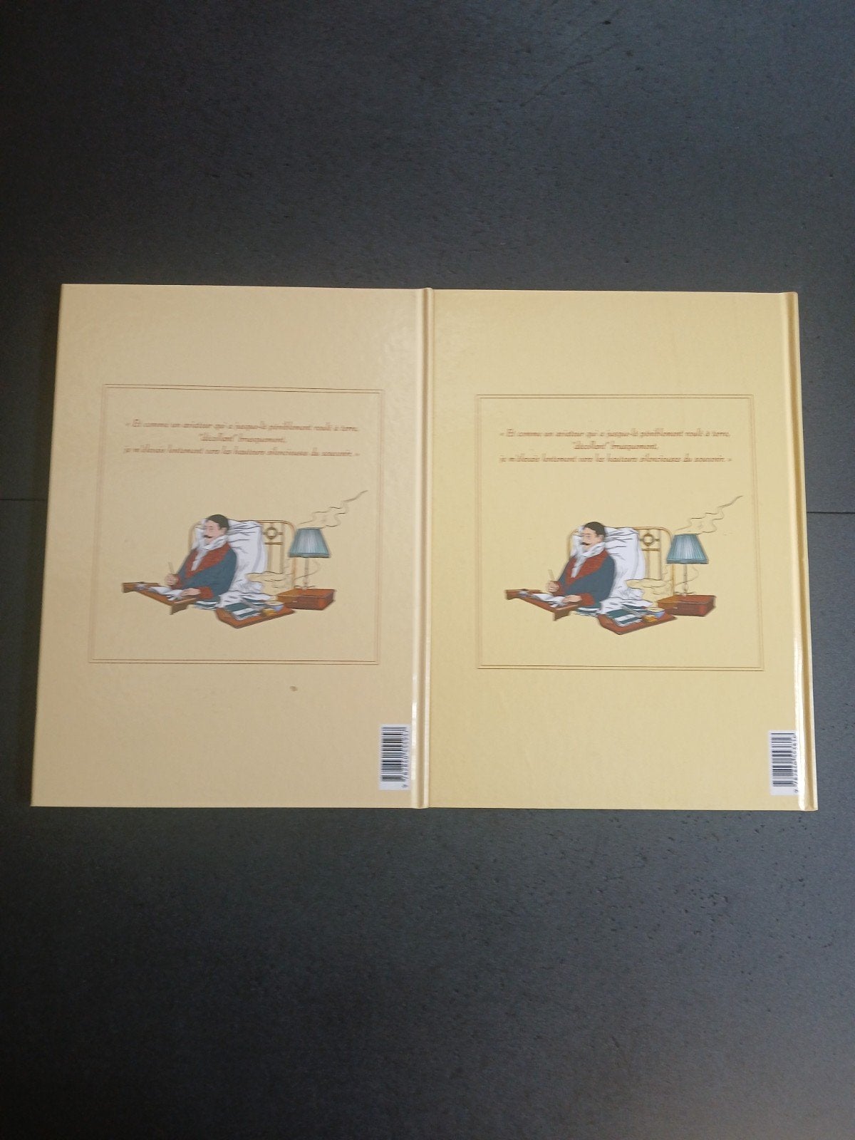 Lot de 2 bd à la recherche du temps perdu 2 et 3, Boeken, Ophalen of Verzenden