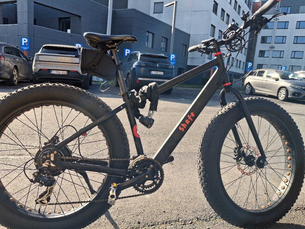 Bigfoot BH, Fietsen en Brommers, Elektrische fietsen, Gebruikt, 50 km per accu of meer, 55 tot 59 cm, Ophalen
