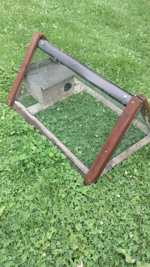 Clapier jeune lapin, lapin nain, poussins, Animaux & Accessoires, Enlèvement, Utilisé, Cage, Lapin