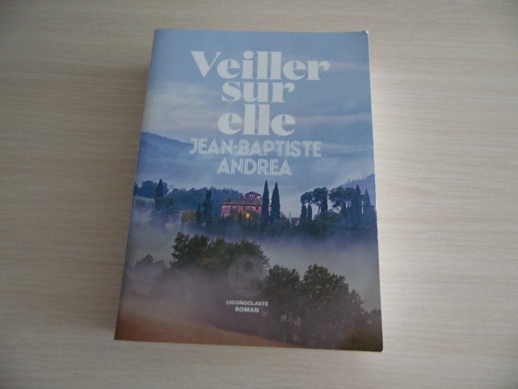 VEILLER SUR ELLE     JEAN-BAPTISTE ANDREA, Boeken, Romans, Zo goed als nieuw, Europa overig, Ophalen of Verzenden