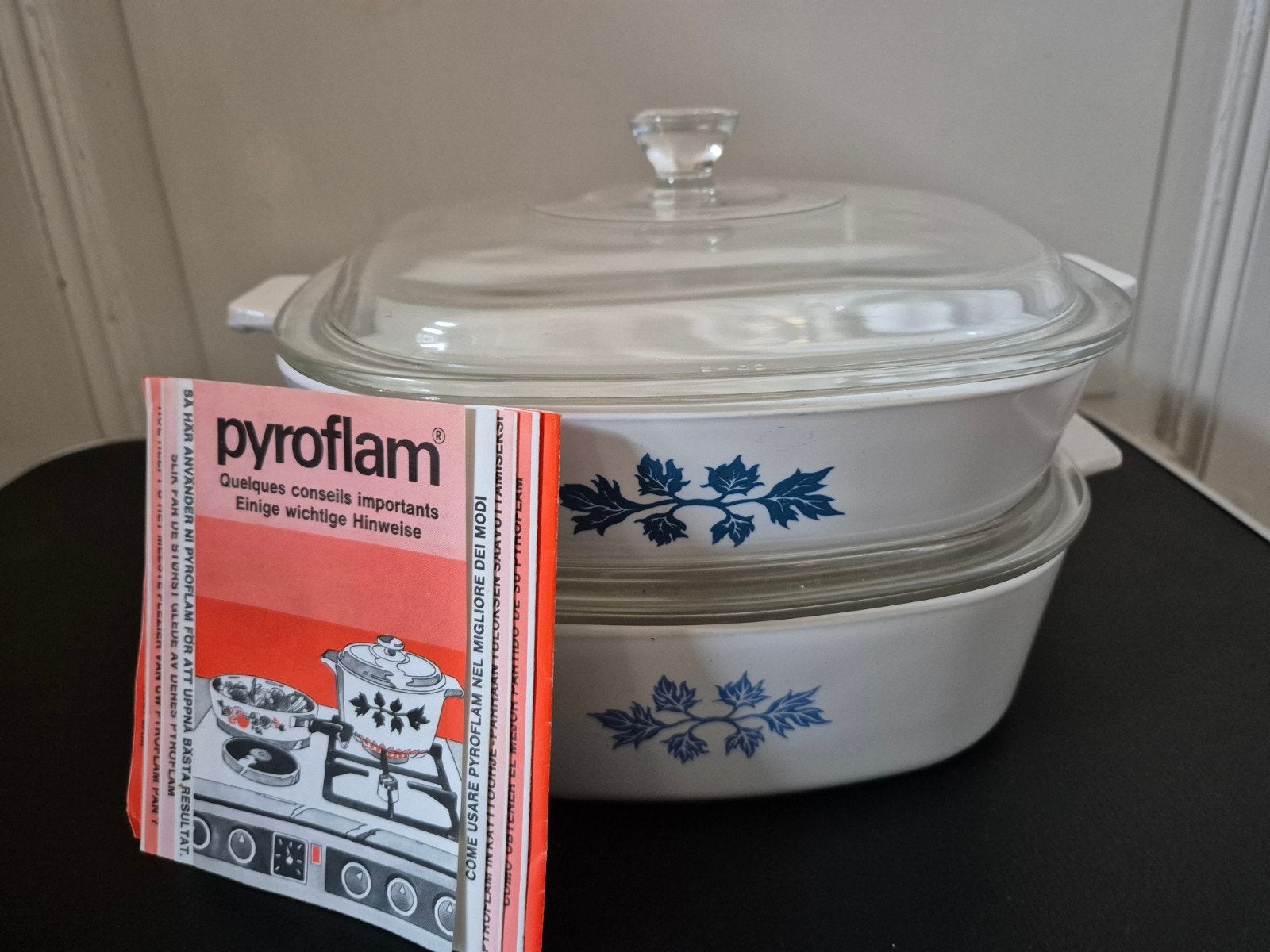 2 nouveaux plats PYROFLAM. 20cmx8cm de H et 20cmx5cm de H, Neuf, Avec couvercle, Enlèvement, Autres marques