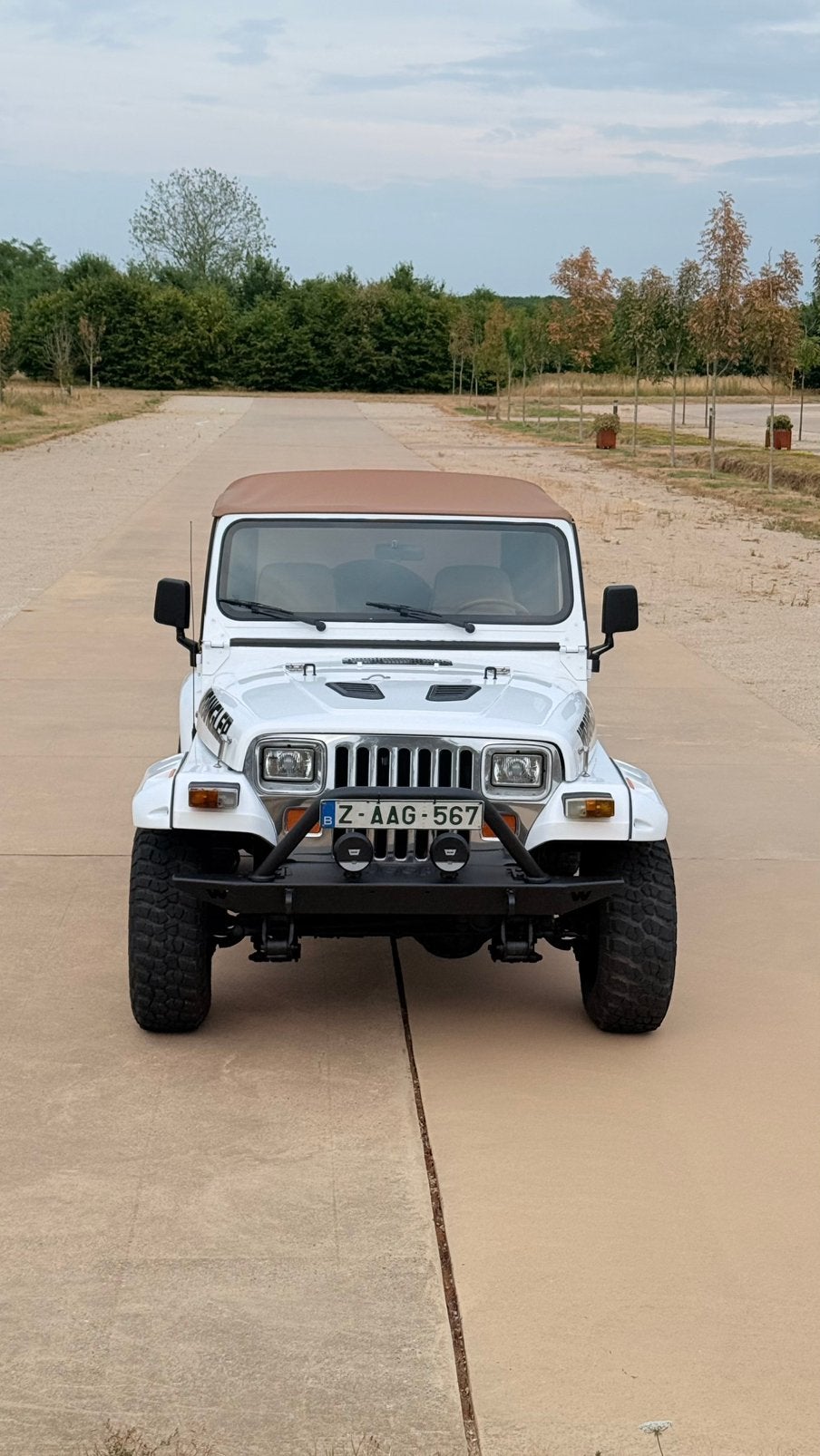 Jeep wrangler Sahara 2,5i, Autos, Jeep, Achat, https://public.car-pass.be/vhr/868334e0-9603-48d8-adf2-4f424c286074, Entreprise