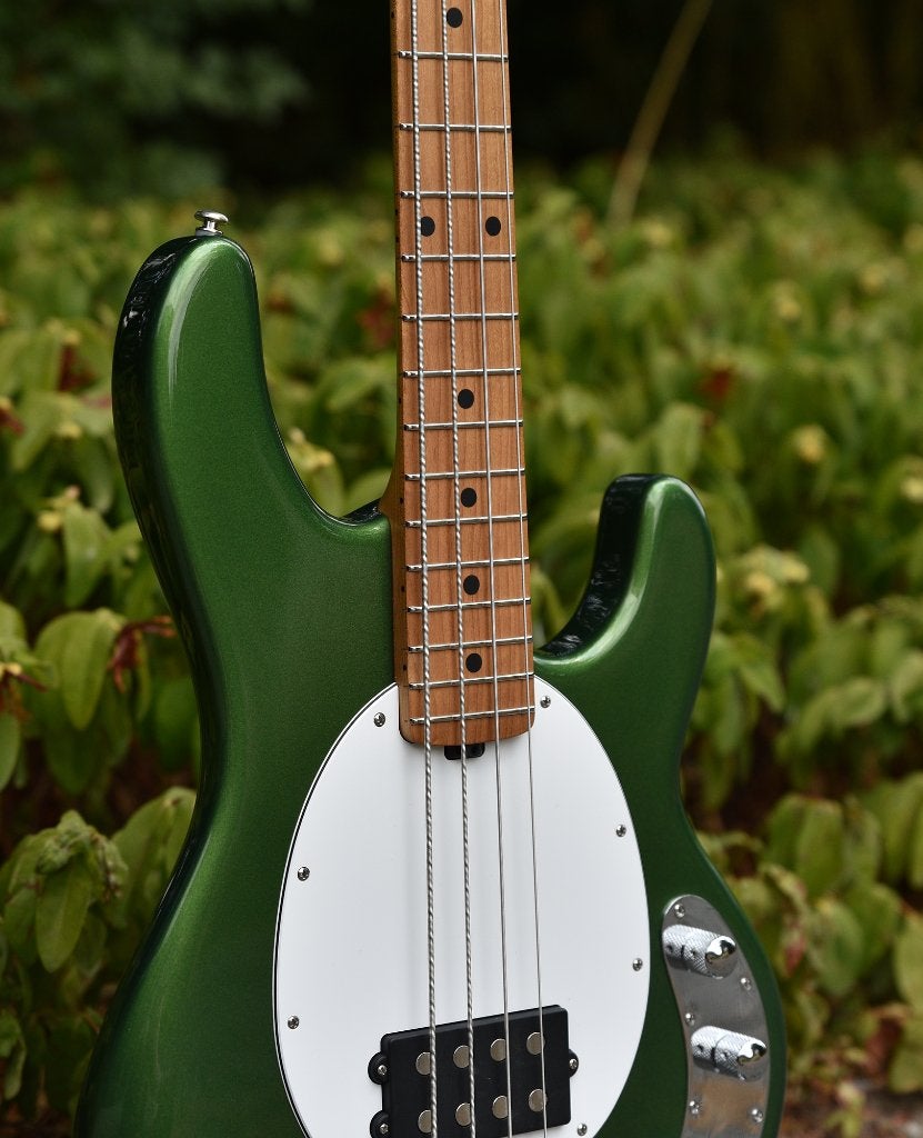 Musicman Stingray Special, Musique & Instruments, Instruments à corde | Guitares | Basses, Enlèvement, Comme neuf, Électrique