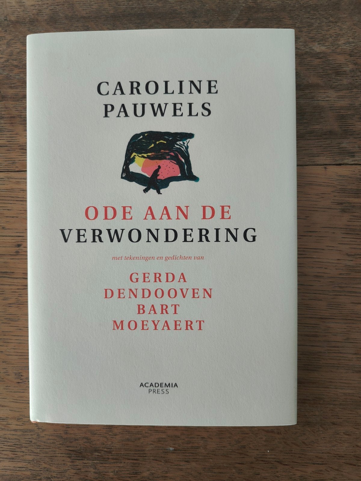 Caroline Pauwels - Ode aan de verwondering, Enlèvement ou Envoi