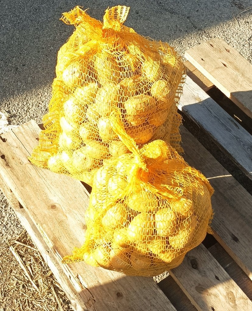 Pommes de terre à vendre, Articles professionnels, Enlèvement