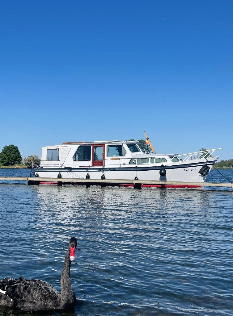 Prachtige Palan Kruiser met open kuip - boegschroef -10,50 m, Watersport en Boten, Gebruikt, Diesel, Kruiser, Walstroom