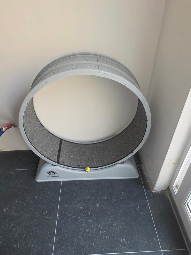 A vendre tapis de course pour chat, Ophalen