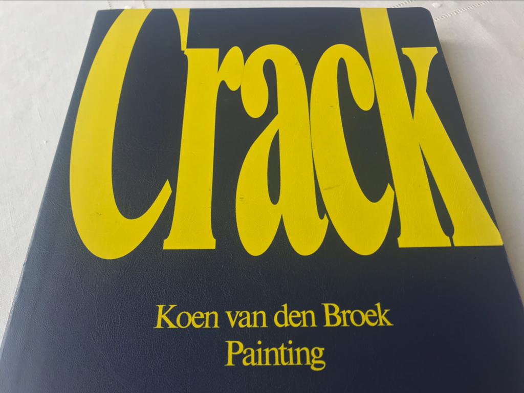 Koen van den Broek overzicht 220pag, Ophalen of Verzenden, Zo goed als nieuw, Schilder- en Tekenkunst
