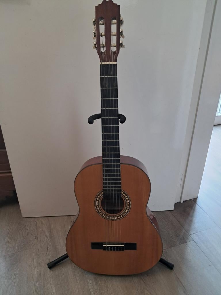 Toute belle guitare USA, Enlèvement