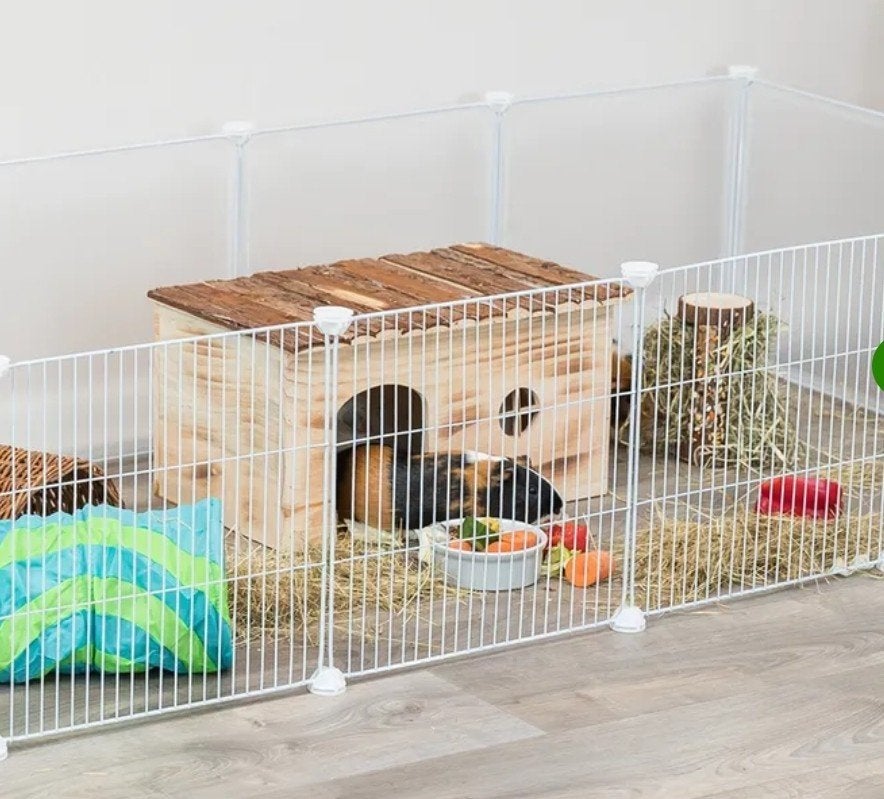 petite maison pour petit rongeur ou lapin et son enclos., Dieren en Toebehoren, Ophalen, Ren, Konijn