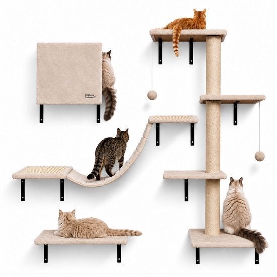Katten klimmuur, Dieren en Toebehoren, Ophalen, Nieuw