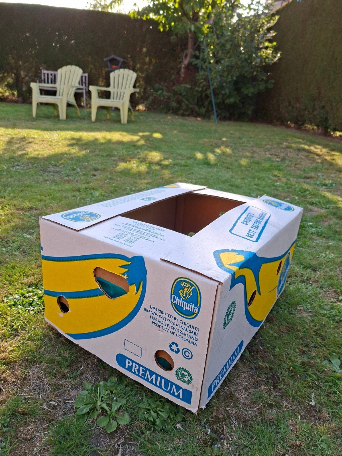 5 boîtes de bananes peuvent être récupérées gratuitement, Enlèvement