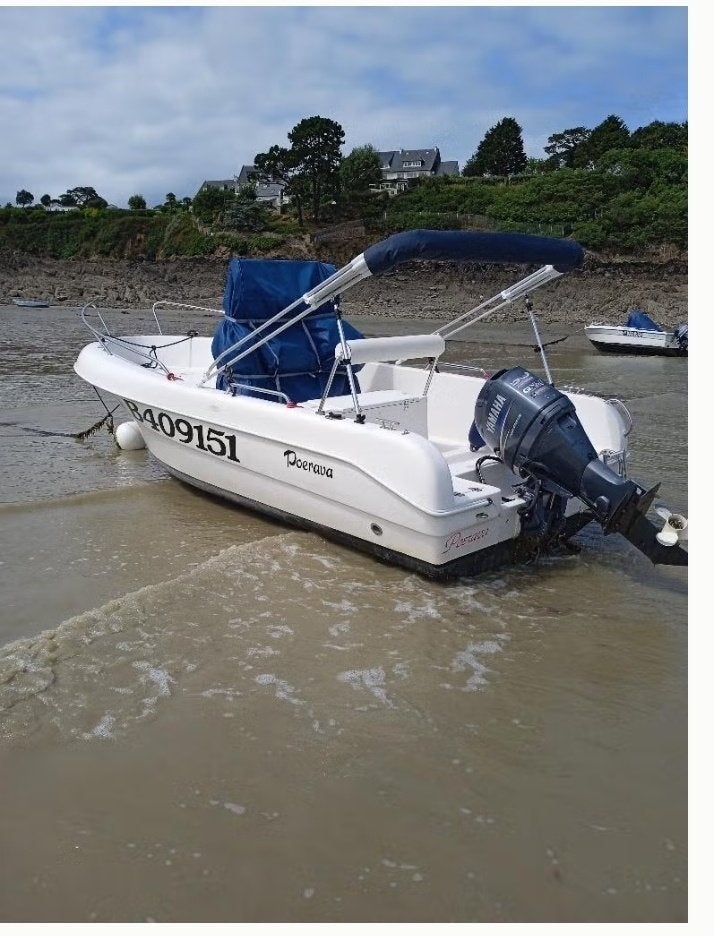 Hors bord de 2007, 50CH, 226Heures, remorque comprise, Sports nautiques & Bateaux, Utilisé, Navigation, Moteur hors-bord, Essence