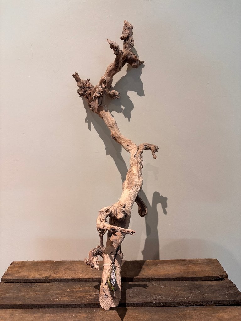 Exoterra forest Branch L (ca 60cm), Dieren en Toebehoren, Ophalen of Verzenden, Nieuw, Tak, Plant, Rots of Steen