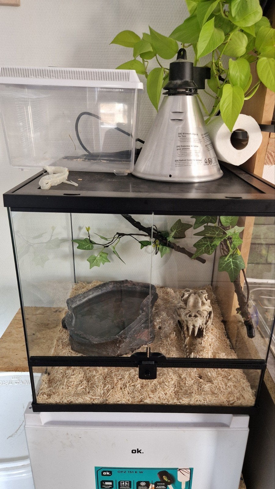 Snake's, Animaux & Accessoires, Reptiles & Amphibiens | Accessoires, Enlèvement
