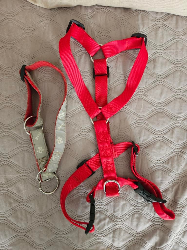 Harnas en halve strop band voor middelgrote hond, Dieren en Toebehoren, Ophalen