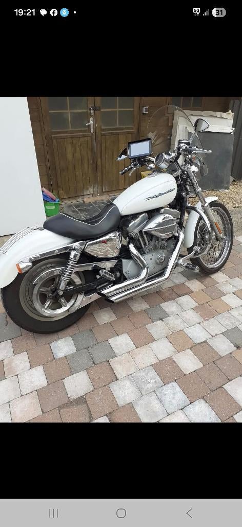 Harley, Motoren, Motoren | Harley-Davidson, 883 cc, Particulier, Overig