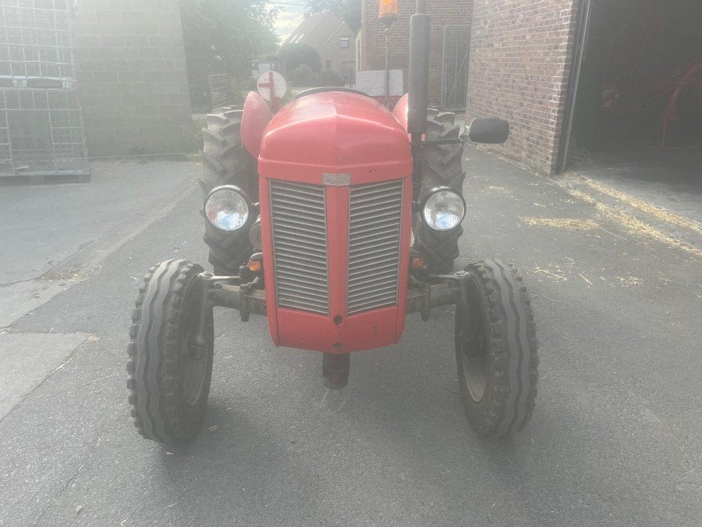 Oldtimertractor Ferguson te koop, Zakelijke goederen, Ophalen, Tot 80 Pk, Massey Ferguson