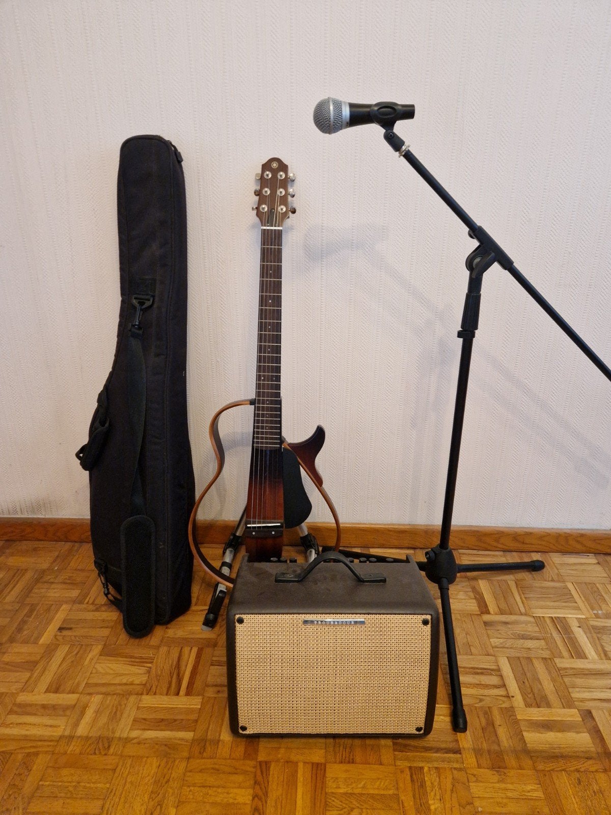 yamaha hollow body gitaar  +troubadour ibanez bersterker, Autres marques, Hollow body, Avec ampli, Enlèvement