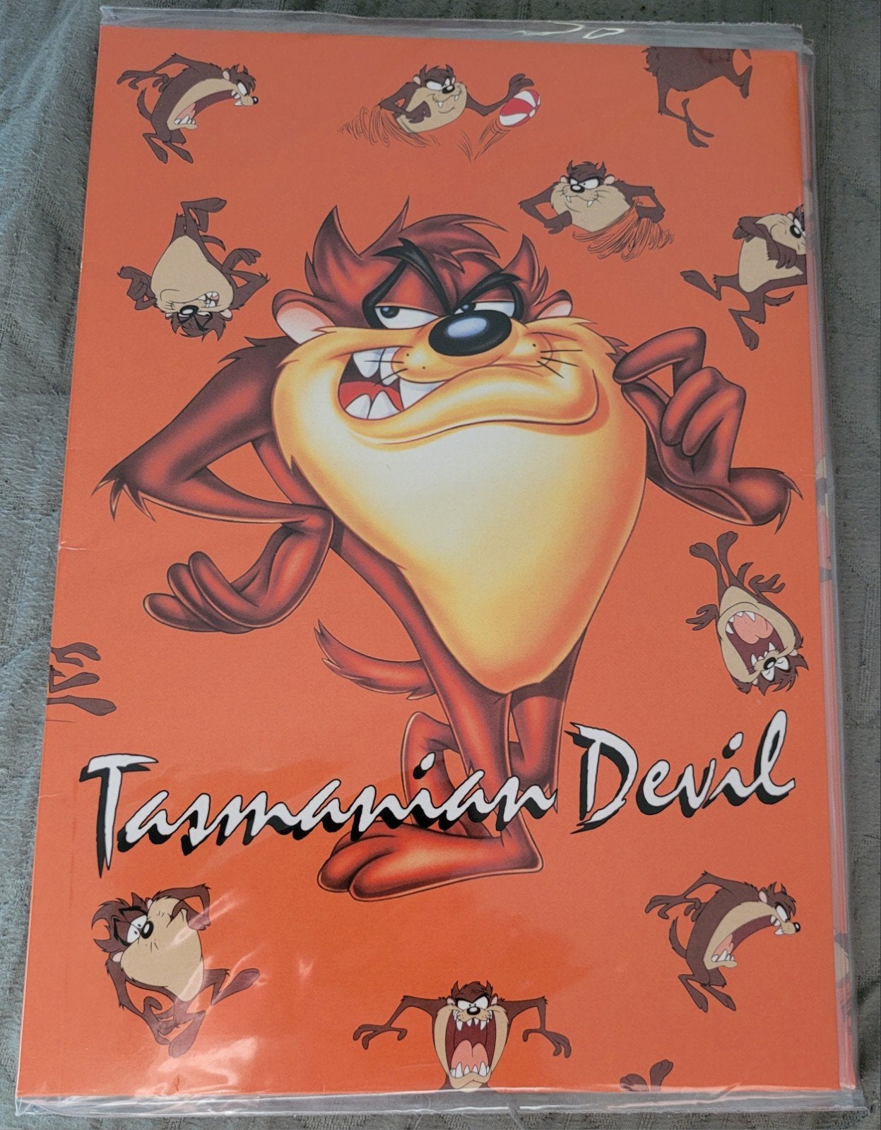 Looney Tunes - Tasmanian Devil: briefpapier + enveloppen, Collections, Personnages de BD, Enlèvement ou Envoi, Looney Tunes, Neuf