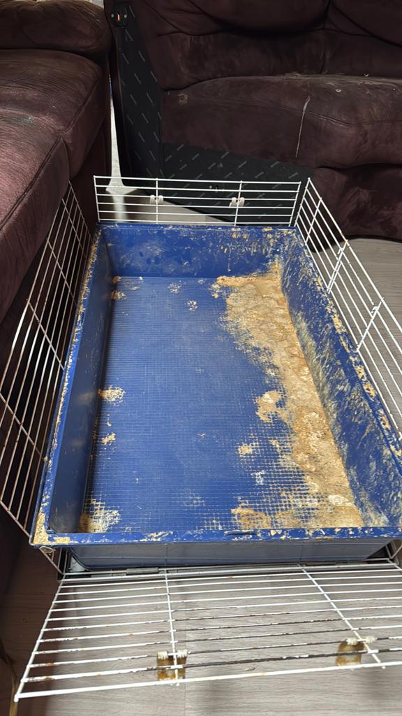 Binnen konijnenhok, Animaux & Accessoires, Rongeurs & Lapins | Cages & Clapiers, Enlèvement, Utilisé, Enclos