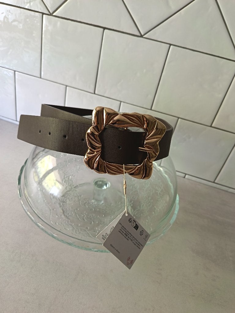 Nieuwe bruine riem van ZARA Gouden gesp 95 cm, Bruin, Zara, Heupriem, Ophalen of Verzenden