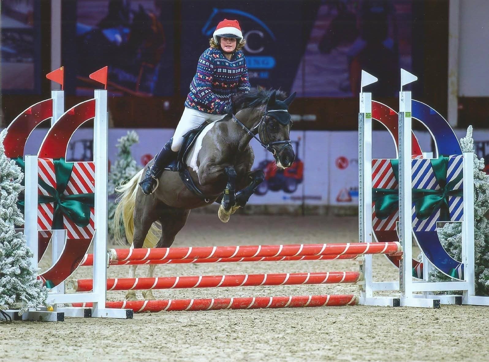 15-jarige c-pony, Dieren en Toebehoren, Gechipt, B, Ruin, C pony (1.27m tot 1.37m)
