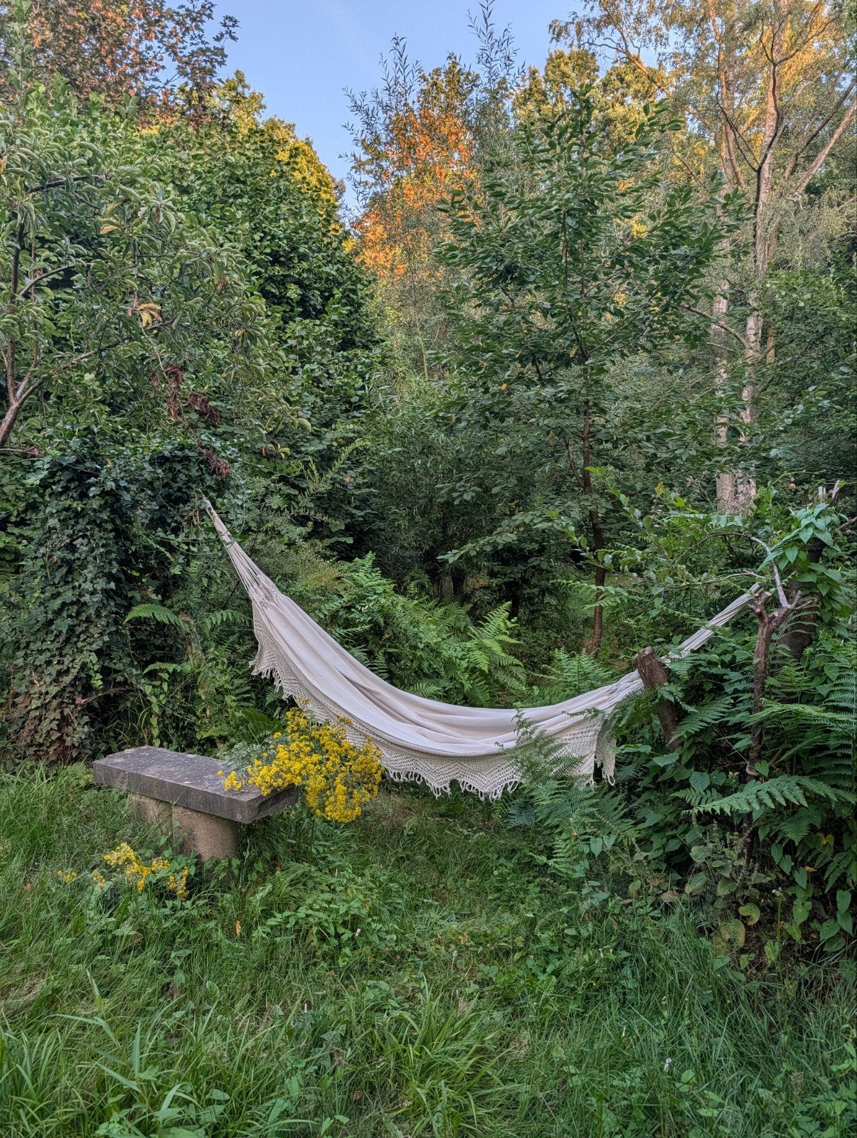 Hamac délicat pour 2 personnes, Jardin & Terrasse, Hamacs, Enlèvement