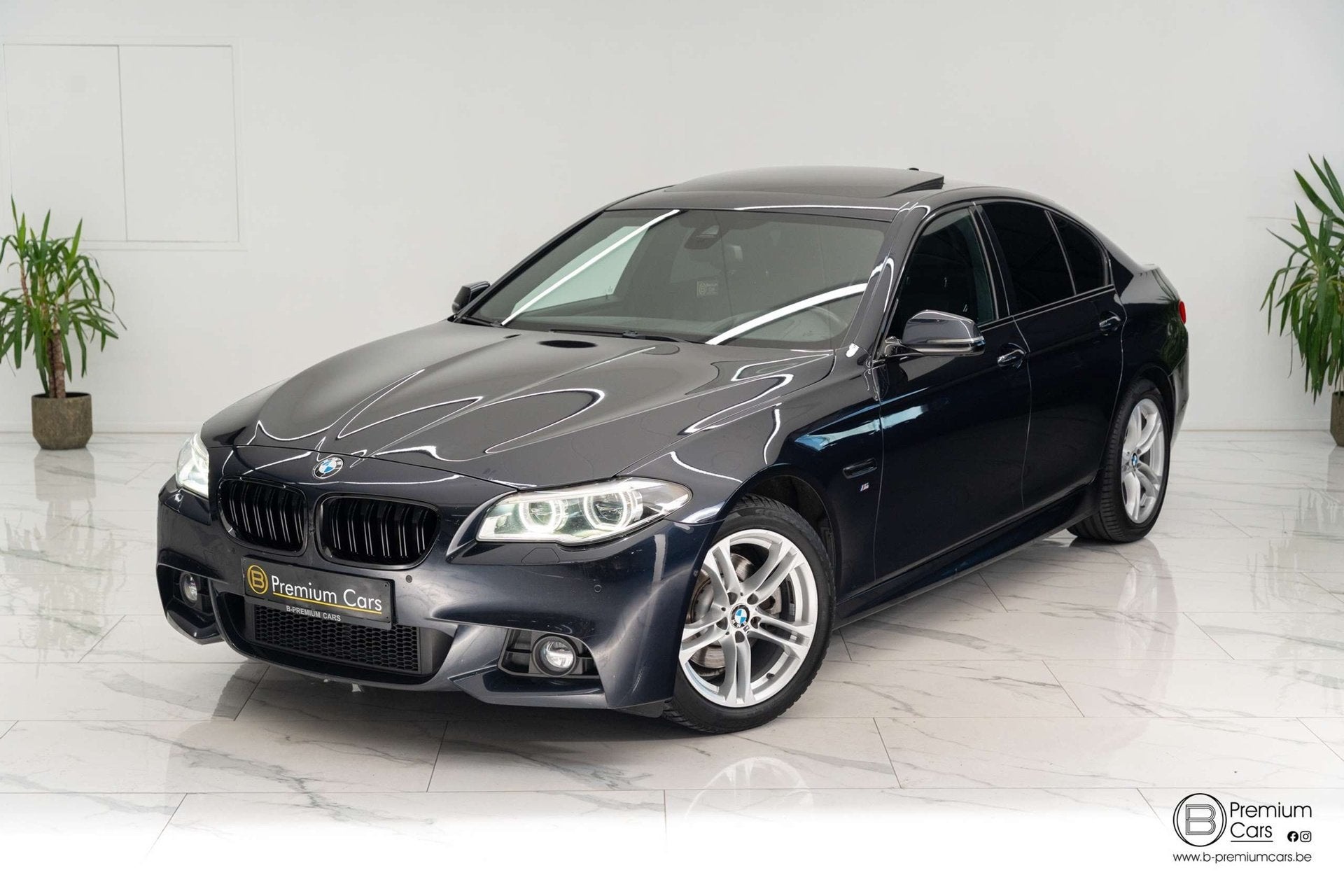 BMW 520 520D M-Pakket Facelift! Full! Open dak! Camera!, Auto's, Automaat, Blauw, 184 pk, Bedrijf