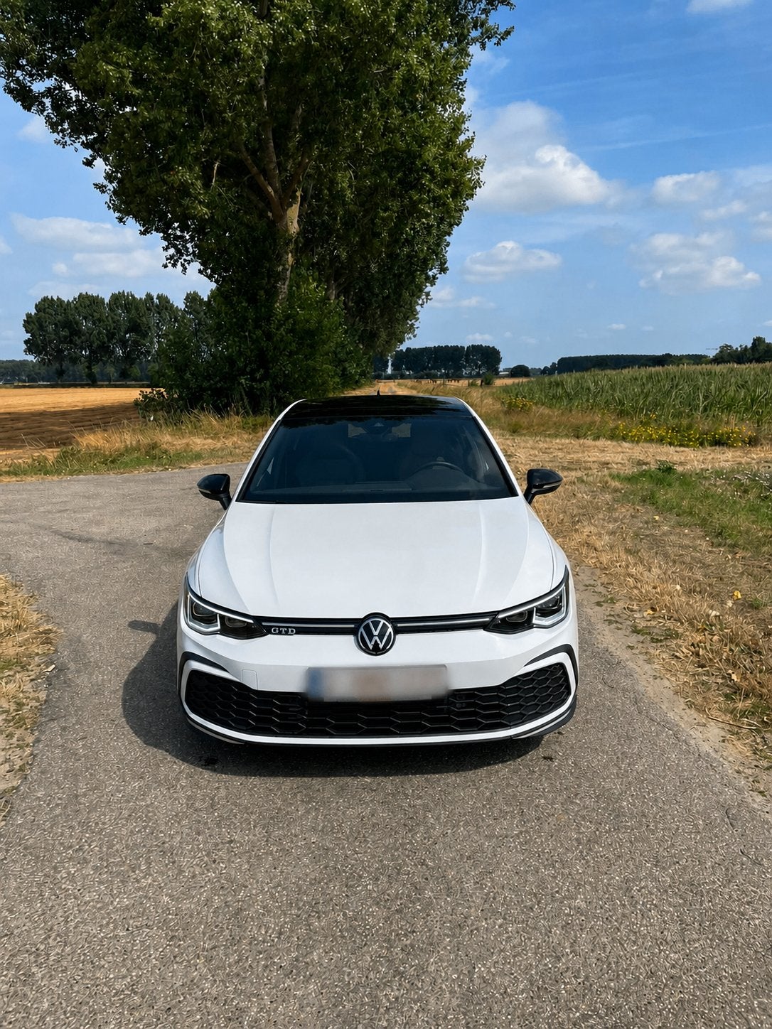 Golf Vlll gtd, Auto's, Zwart, Alcantara, Wit, 5 deurs