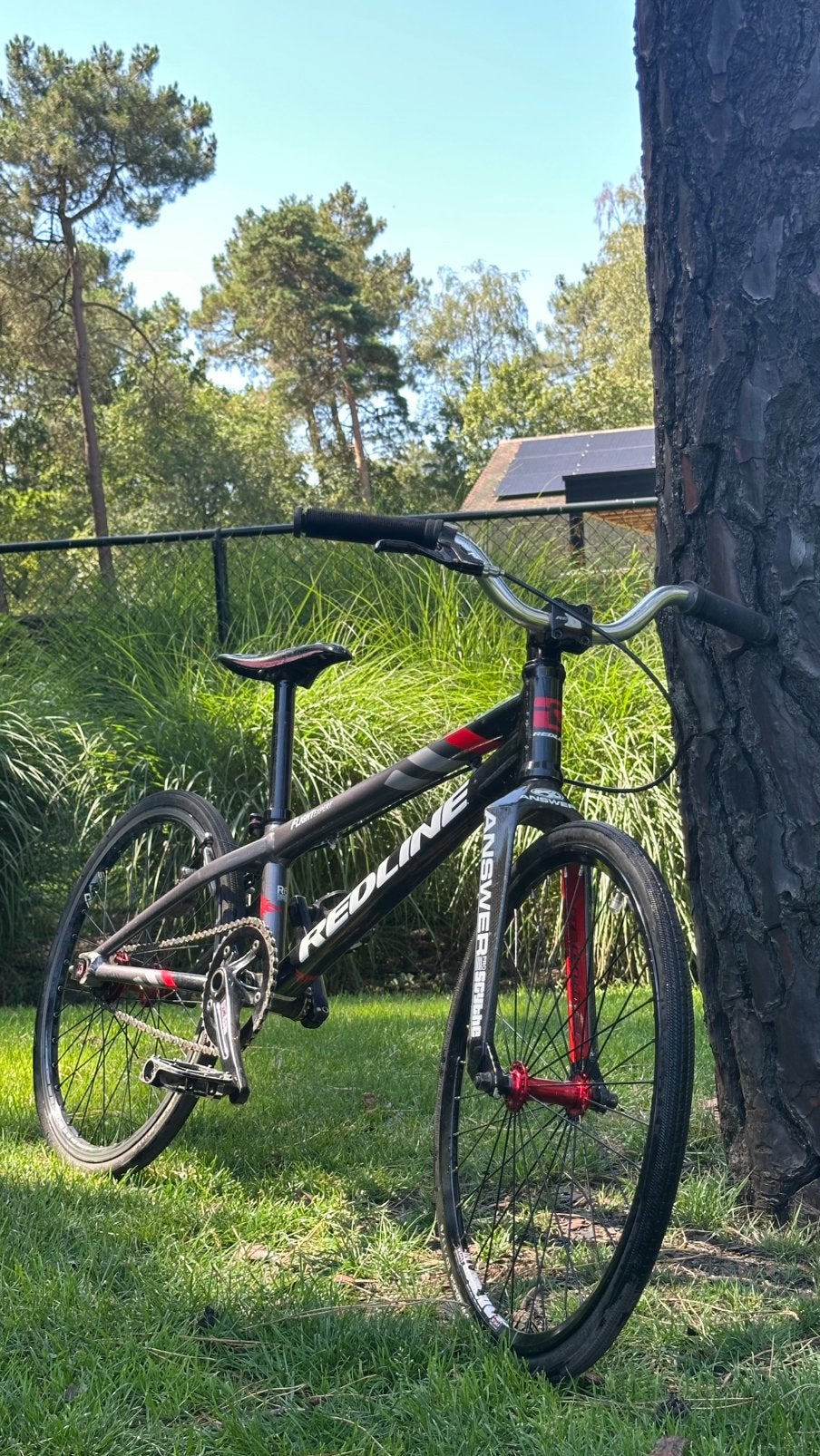 Redline Flight Expert BMX Race – Nette staat, Ophalen, Gebruikt, 16 tot 20 inch