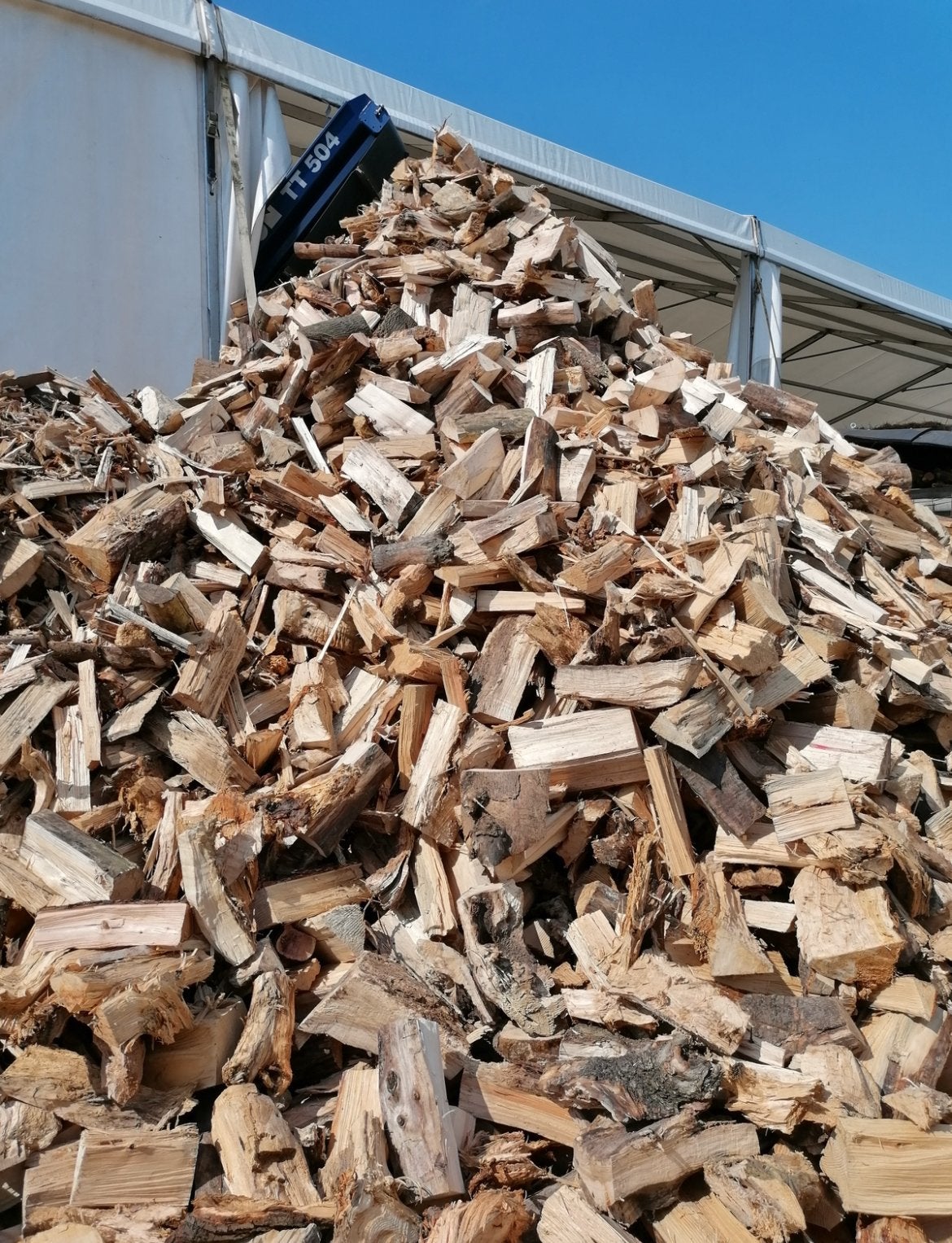 Brandhout te koop gedroogd dus kan direct gebruikt worden, 3 à 6 m³, Enlèvement ou Envoi, Autres essences de bois, Bûches