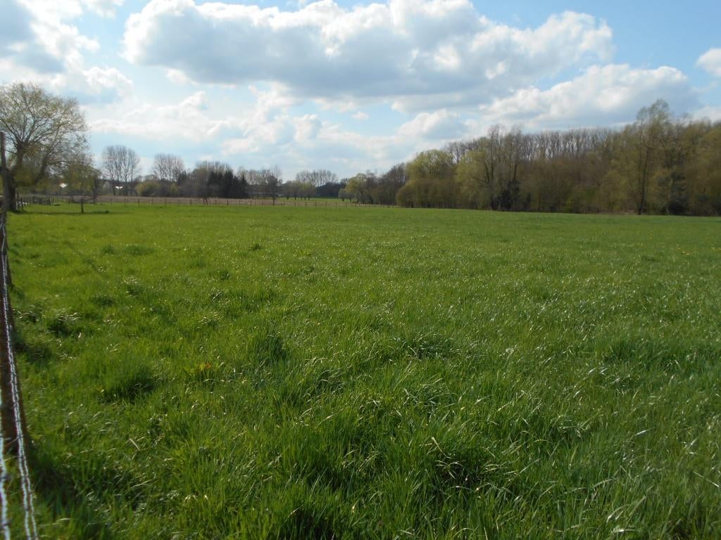Weide / Landbouwgrond, Immo, Gronden en Bouwgronden, 1500 m² of meer