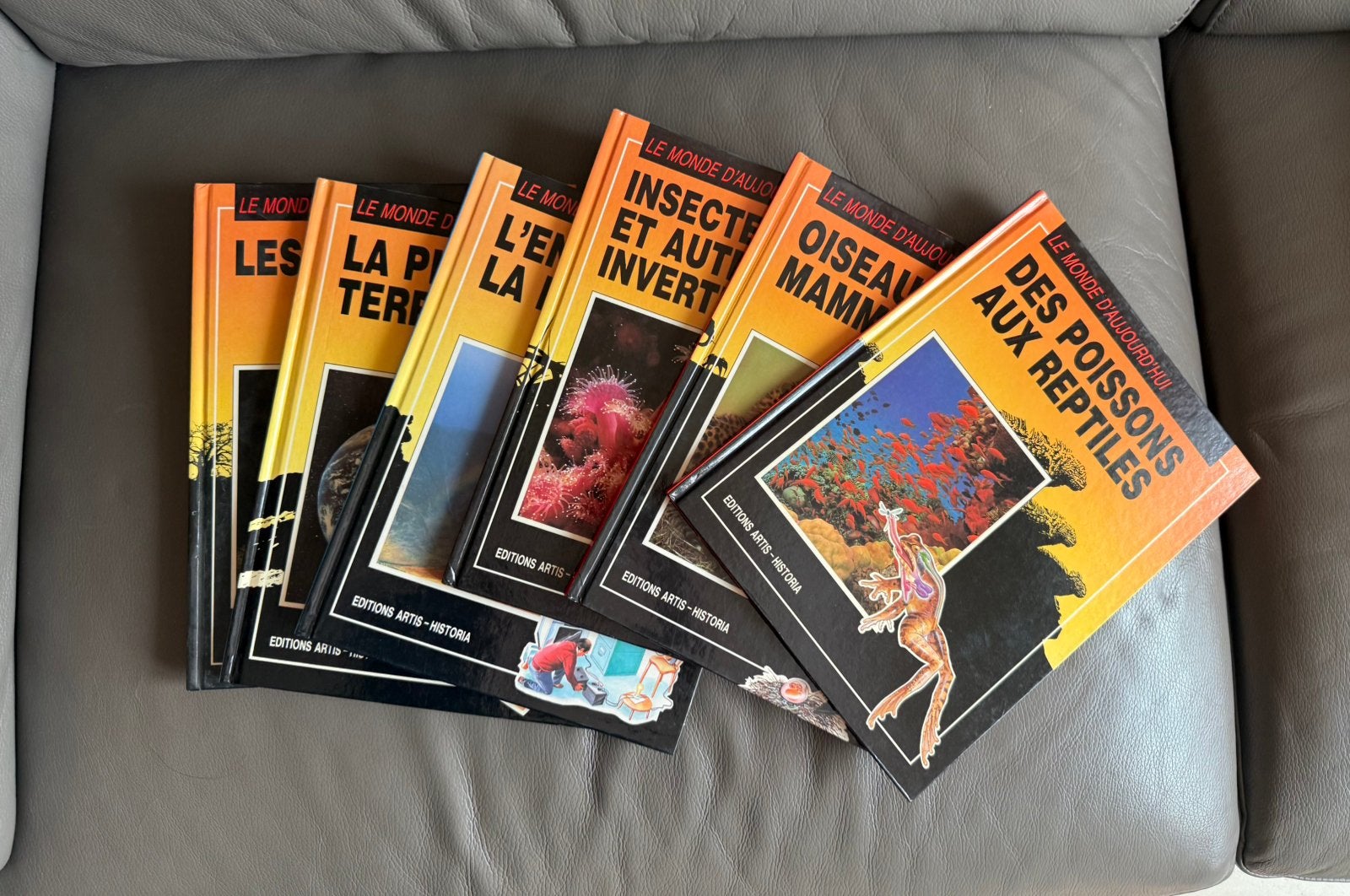 Collection « le monde d’aujourd’hui », Boeken, Kinderboeken | Baby's en Peuters, Ophalen of Verzenden