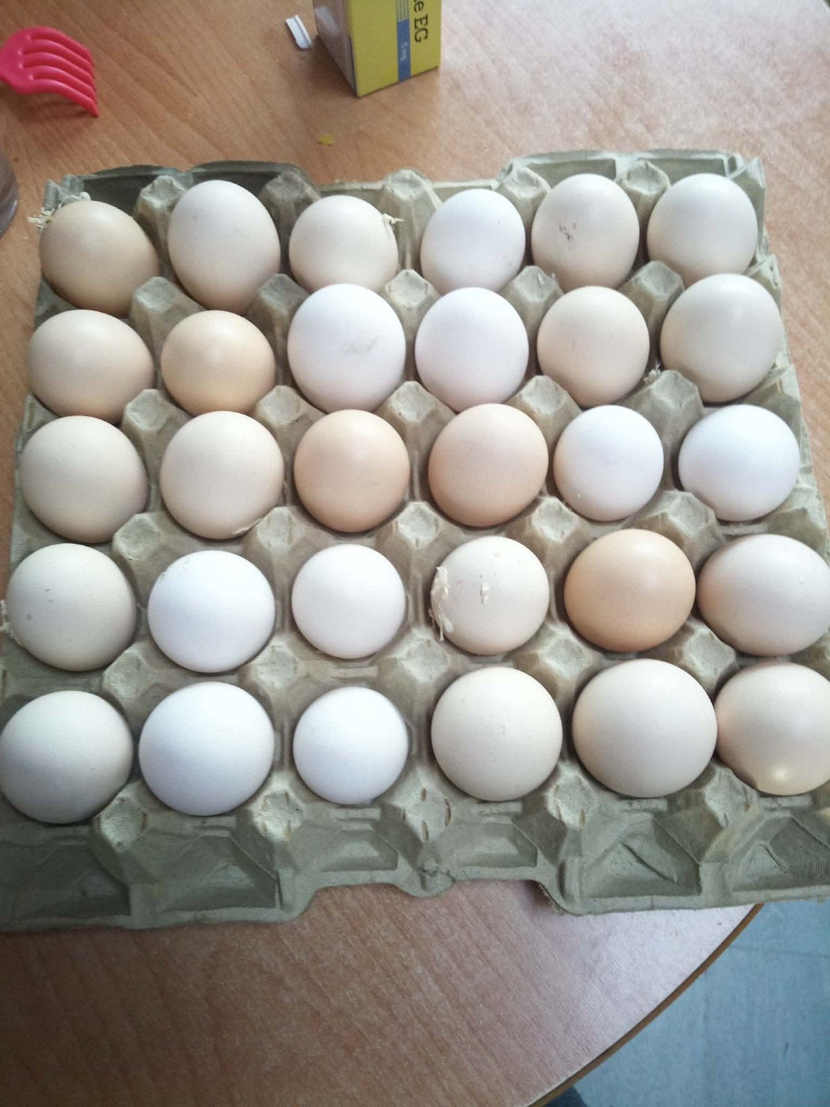 Broedeieren poule de bress gekruist