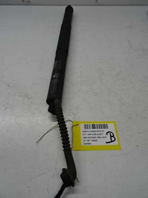 VERIN A GAZ BMW X5 (F15) (01-2013/07-2018), Utilisé, BMW, Petuelring 130
80809  München, DE, Bayerische Motoren Werke AG
