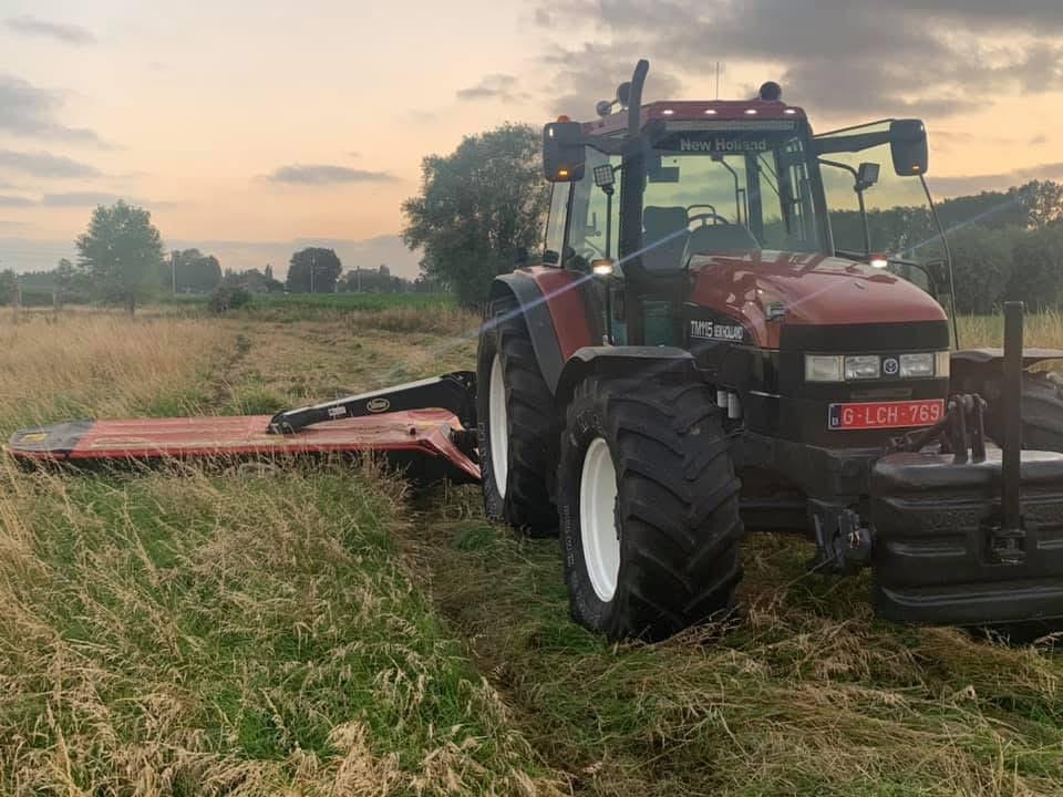 Grasland gezocht, Ophalen of Verzenden