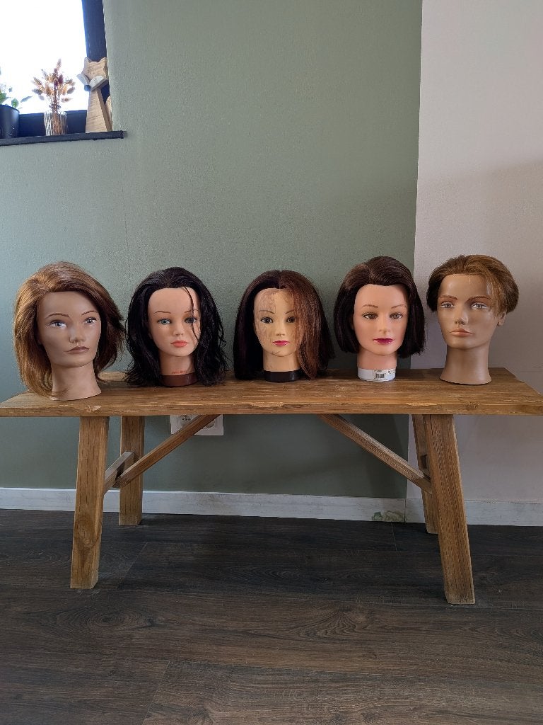 Lot kappers oefenhoofden echt haar Pivot Point, Sibel, S-PRO, Hobby en Vrije tijd, Cursusmateriaal, Gebruikt, Kunst en Creatief