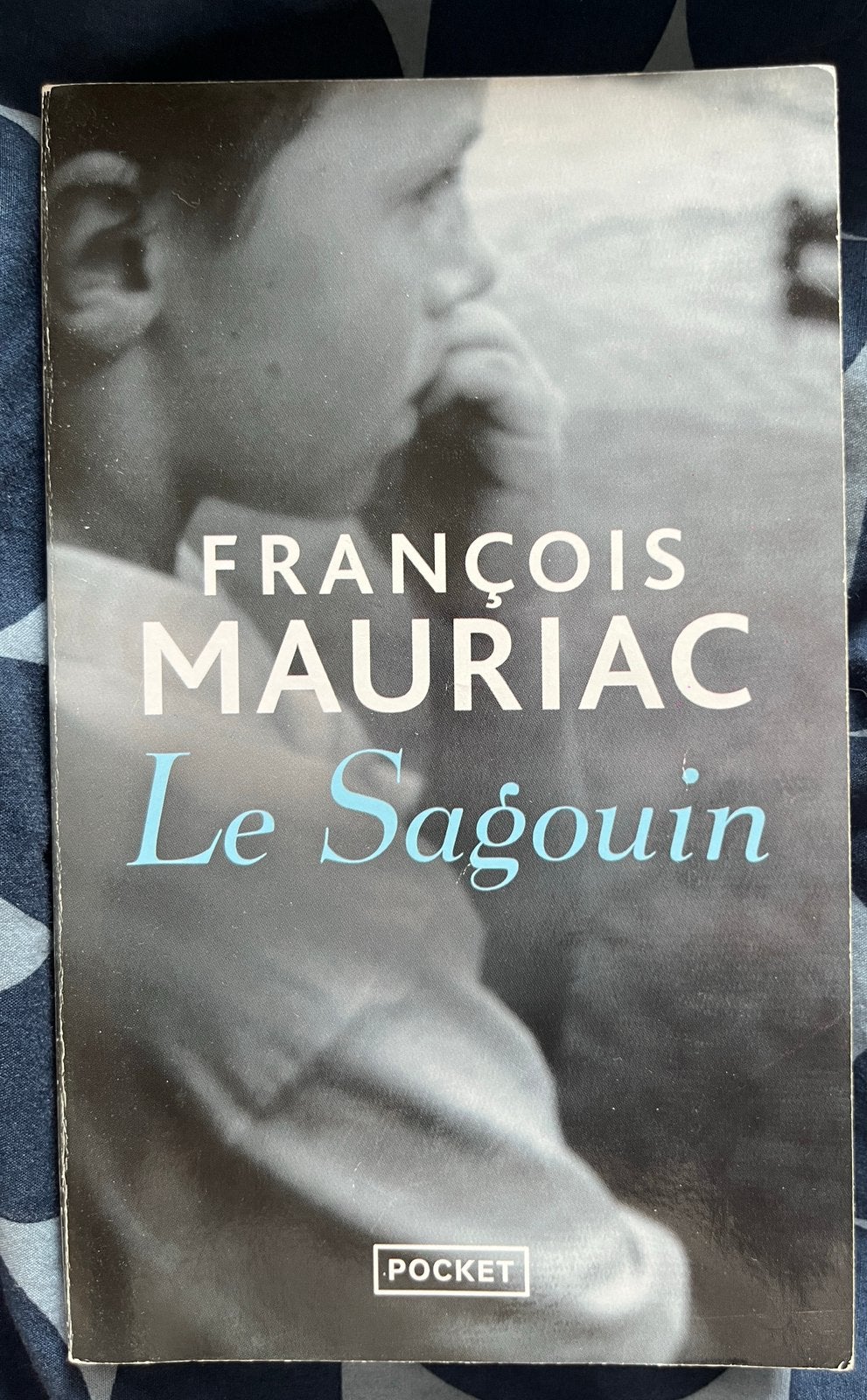 « Le Sagouin » de François Maurillac, Livres, Enlèvement, Comme neuf