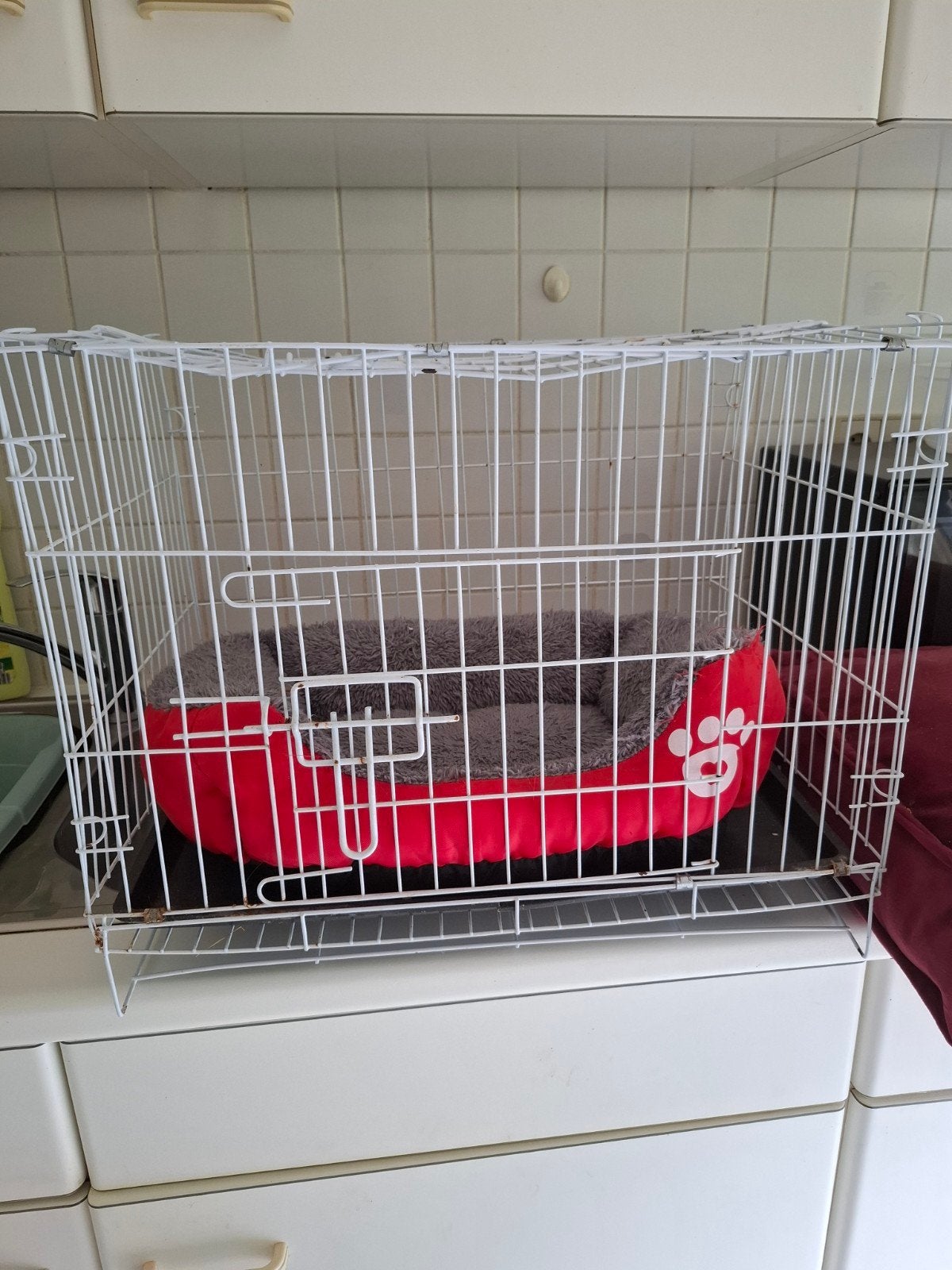 chats et, Animaux & Accessoires, Enlèvement ou Envoi, Comme neuf, Moins de 75 cm, Moins de 65 cm