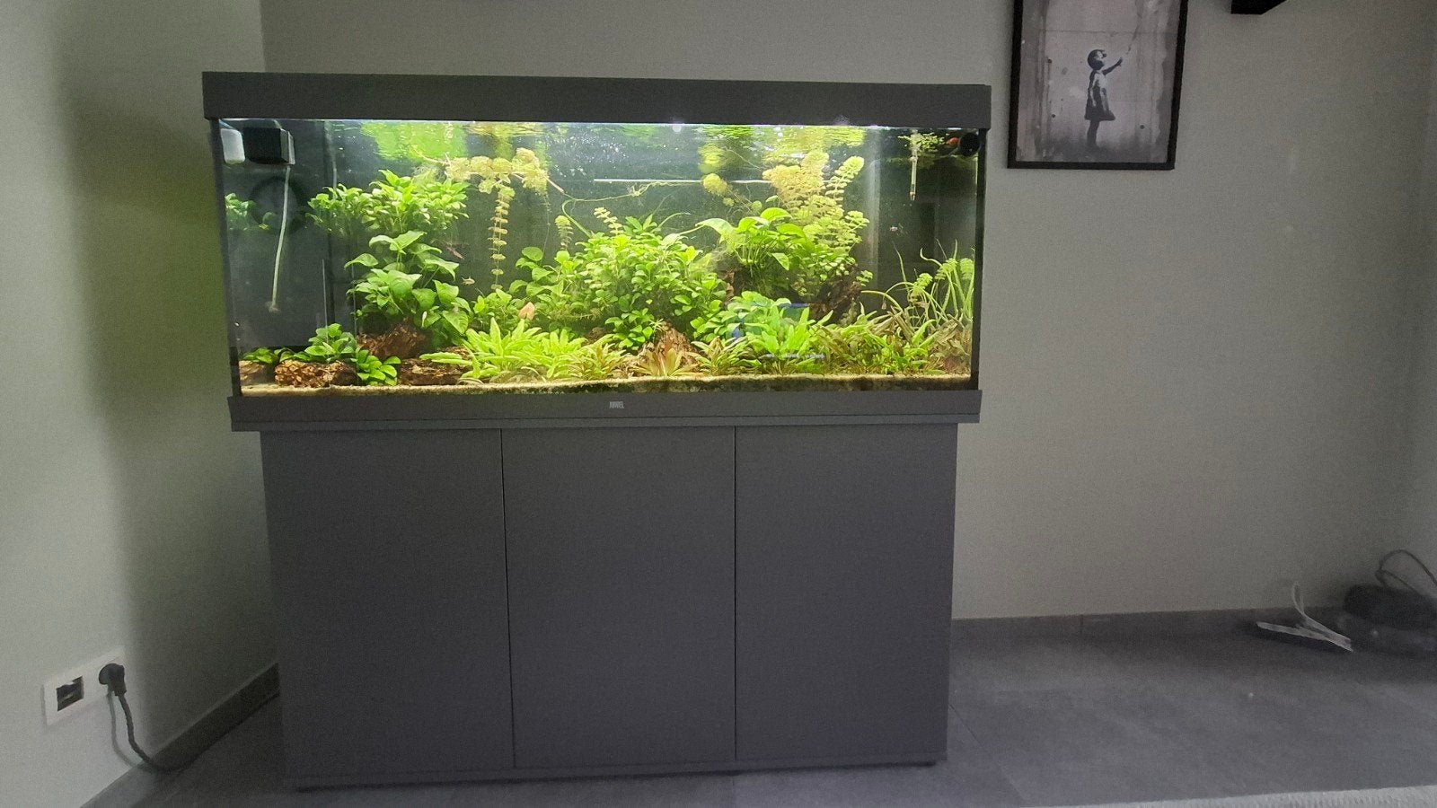 juwel rio led 450 nieuwstaat, Enlèvement, Comme neuf, Filter, JBL