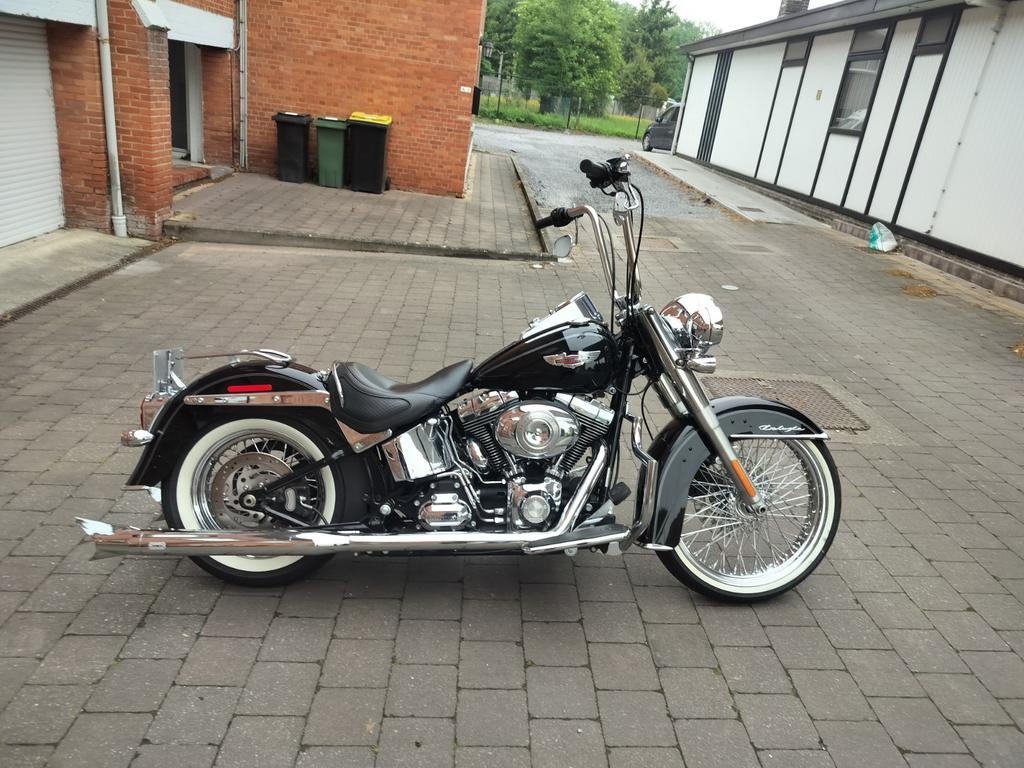 Softail deluxe, Motoren, Particulier