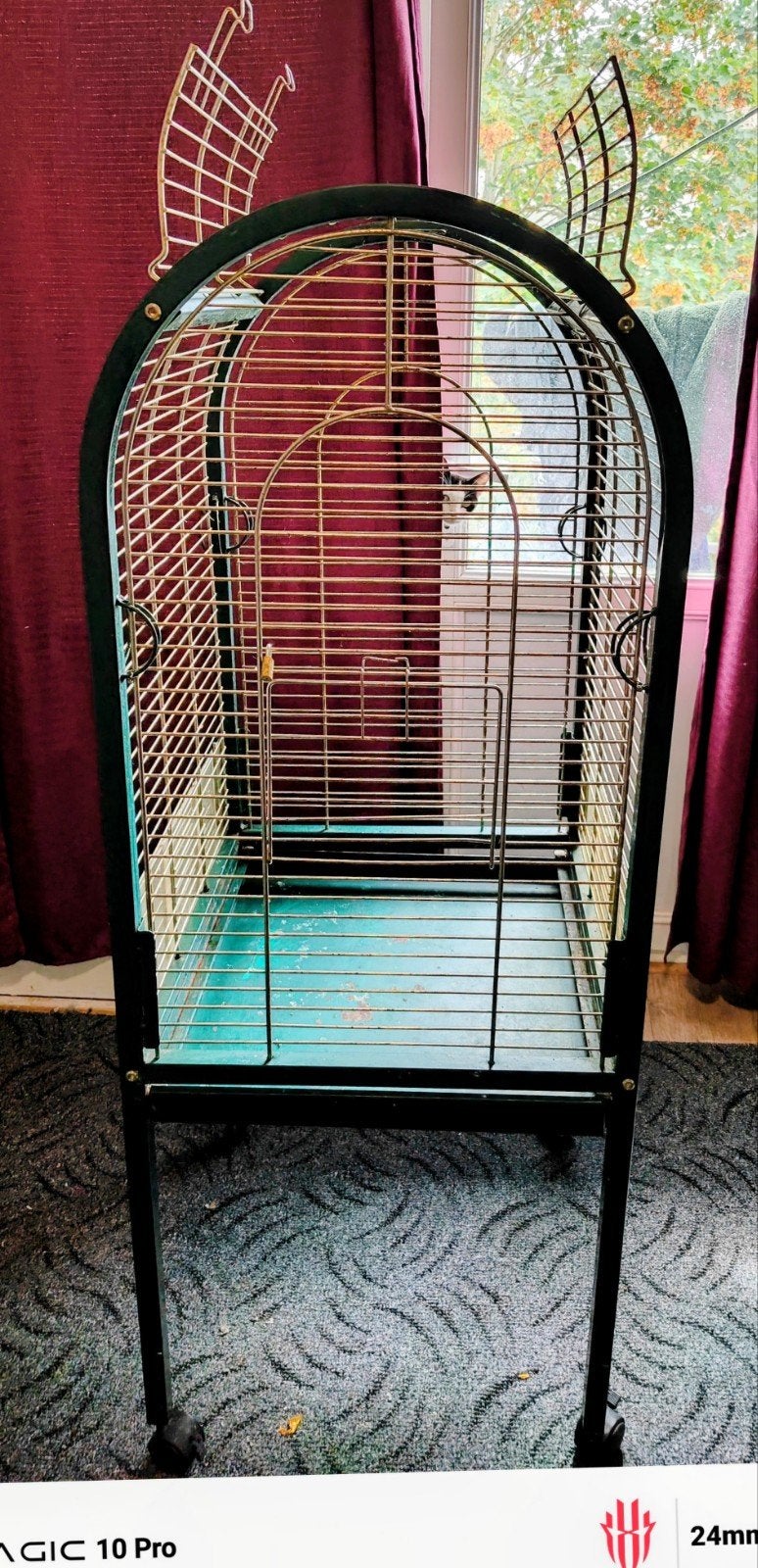 Cage, Ophalen of Verzenden